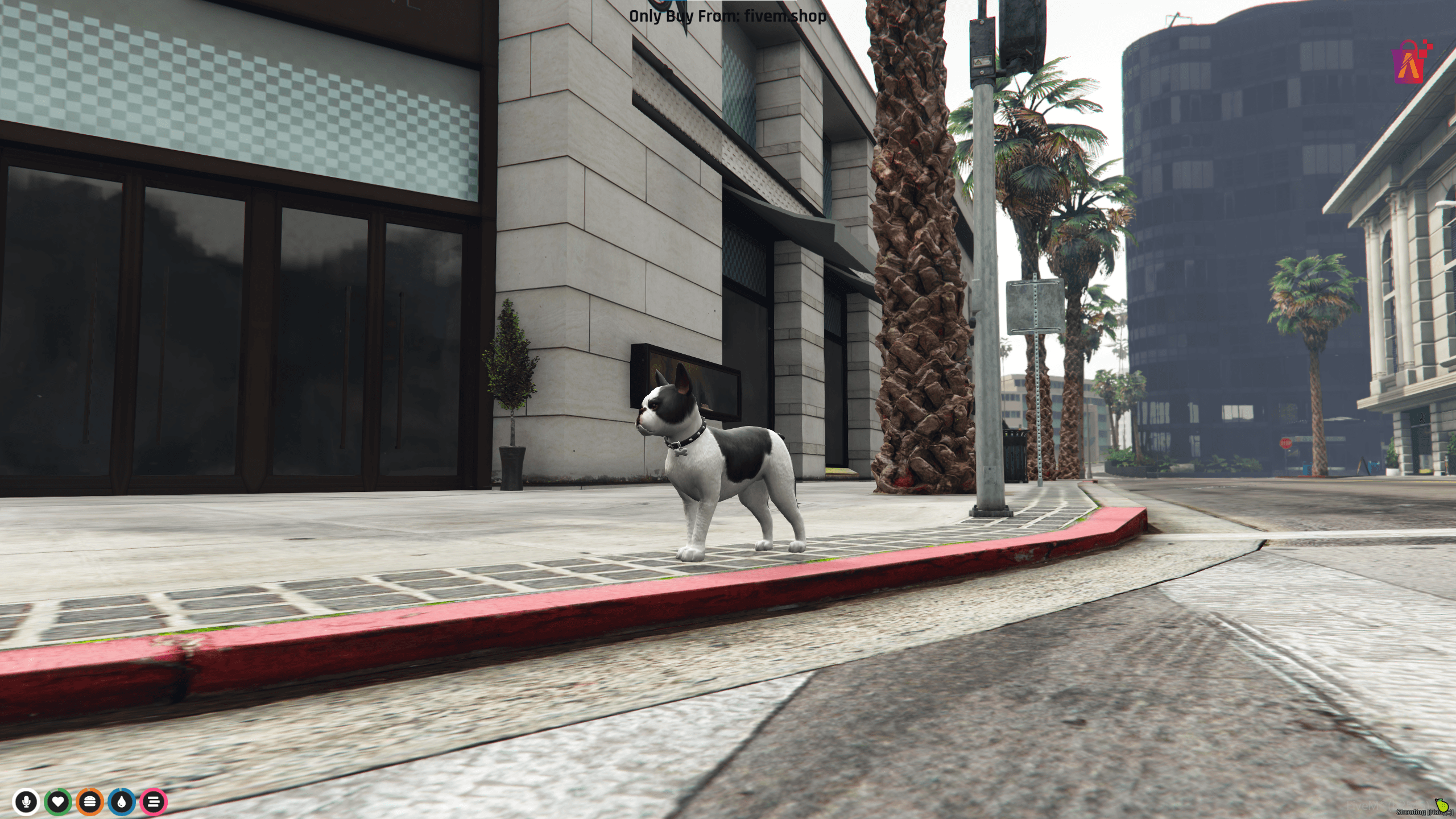 bulldog ped fivem