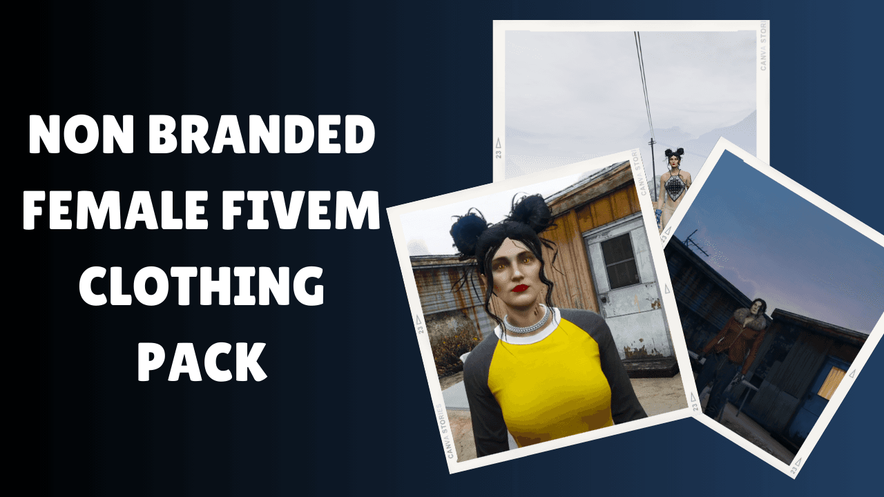 Non BranNon Branded Female FiveM Clothing Packded Female FiveM Clothing Pack