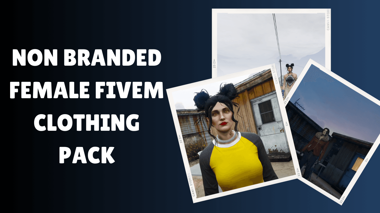 Non BranNon Branded Female FiveM Clothing Packded Female FiveM Clothing Pack