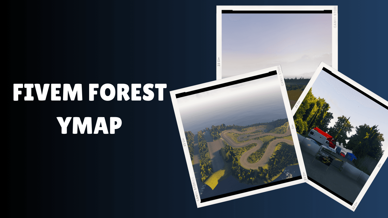 FiveM Forest Ymap