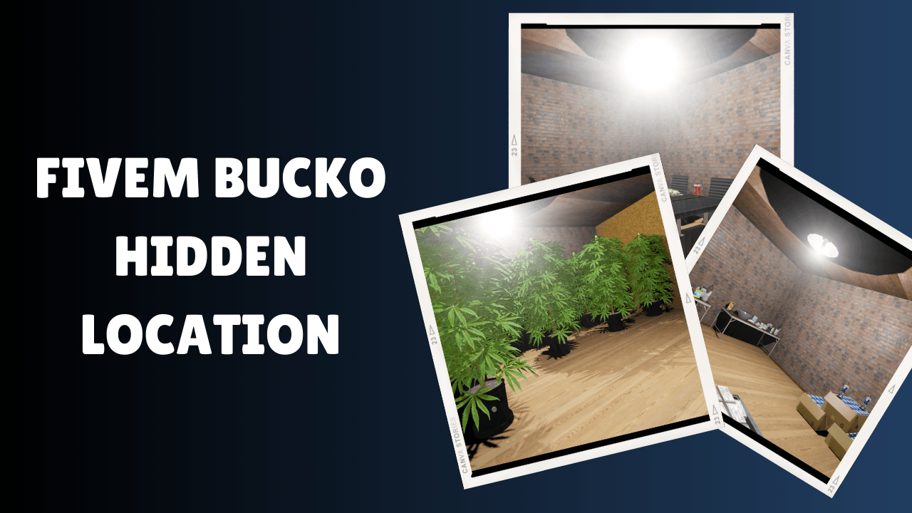 FiveM Bucko Hidden Location