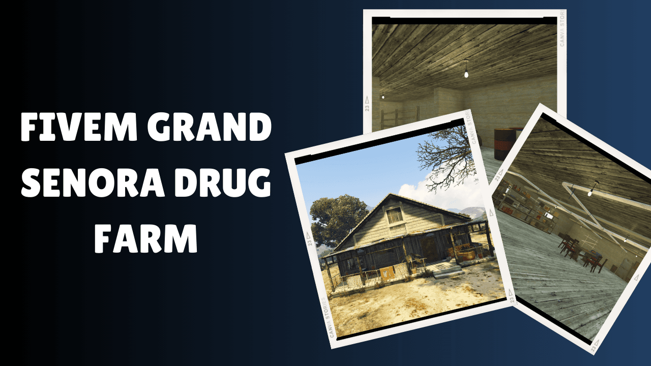 FiveM Grand Senora Drug FarM